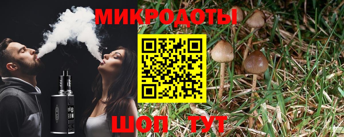Галлюциногенные грибы Magic Shrooms Бугуруслан